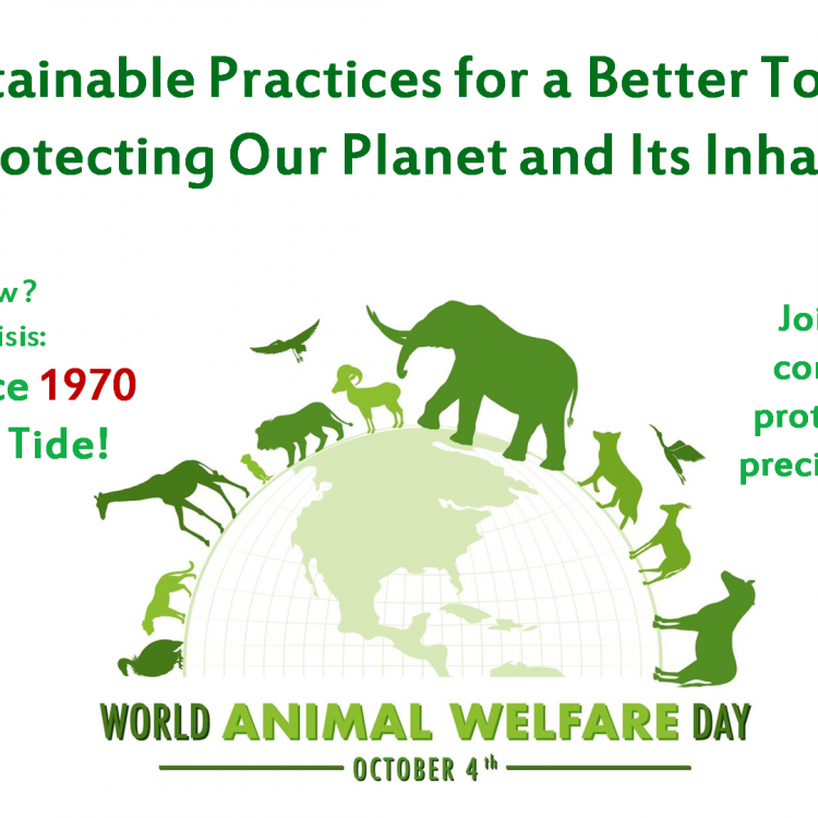 Awareness Image_10