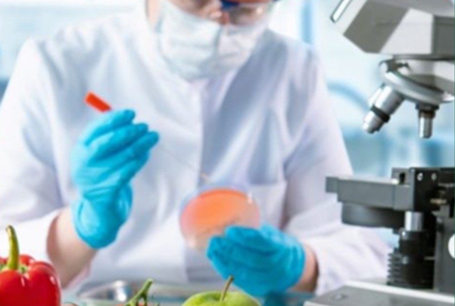 Role Of Regulatory Bodies In Shaping Food Safety Standards And Consumer Protection