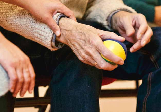 Brain Wellness and Alzheimer's : Socioeconomic Perspectives