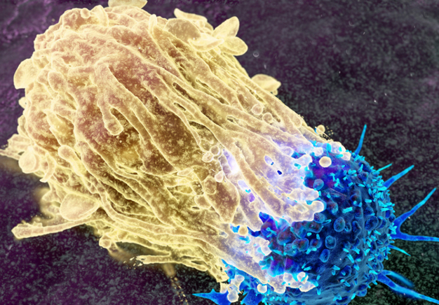 Evolving Immunology: Cutting-edge Innovations in