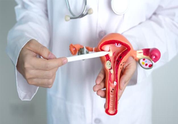 Empowering Women Against Cervical Cancer: Lifesaving Innovations in Prevention, Detection, and Treatment