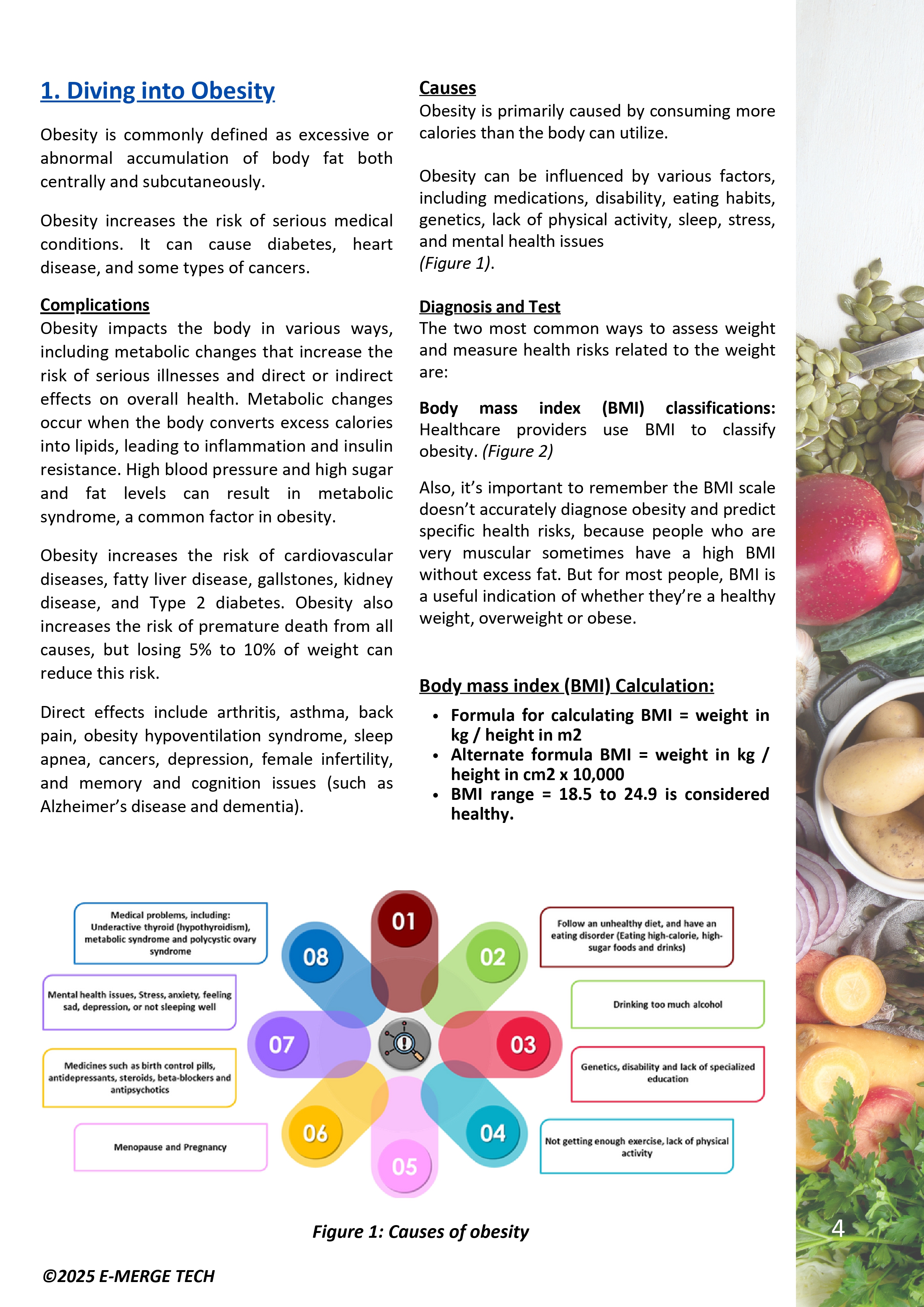 New Paths in Obesity Management - DS_page-0004