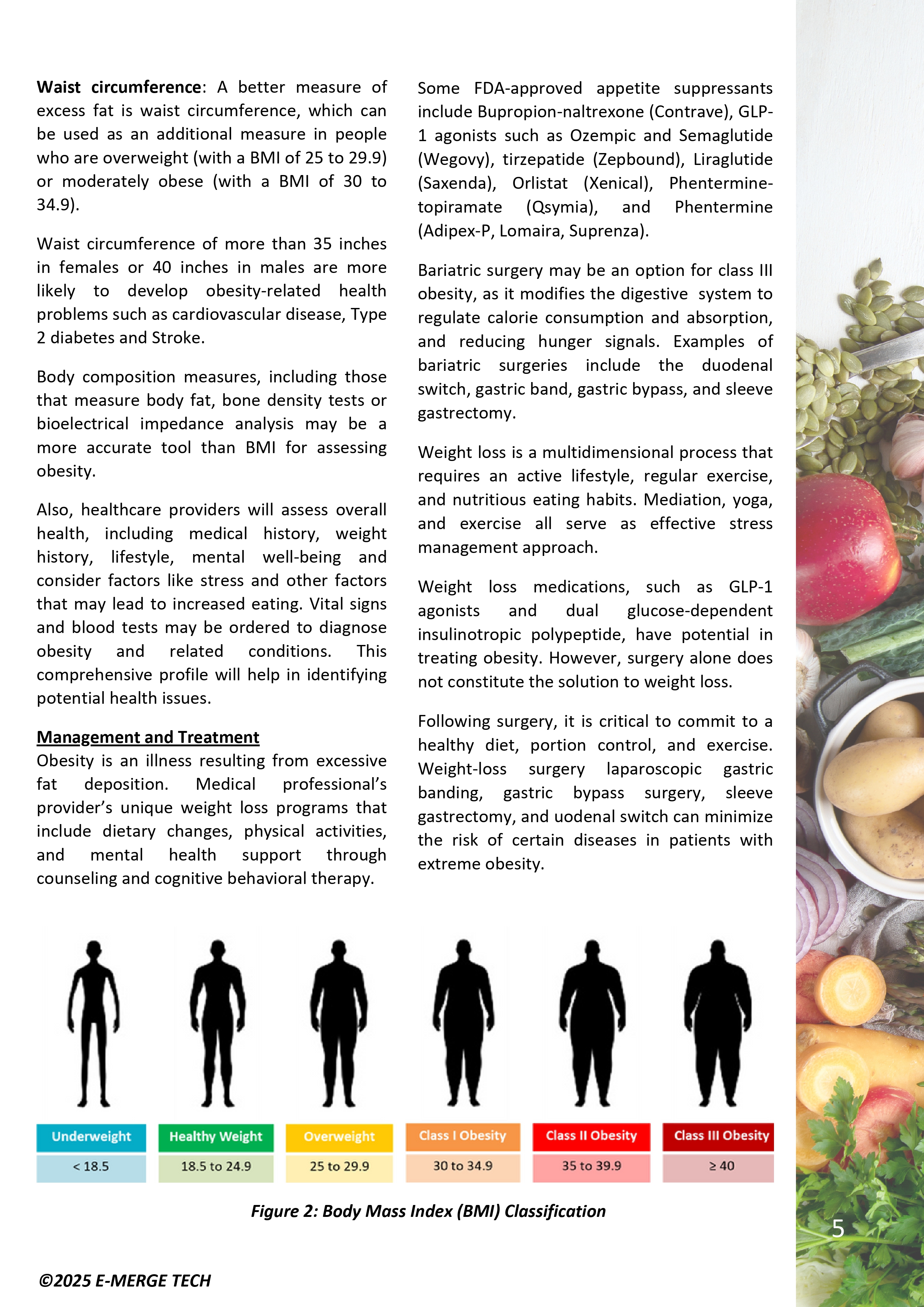 New Paths in Obesity Management - DS_page-0005