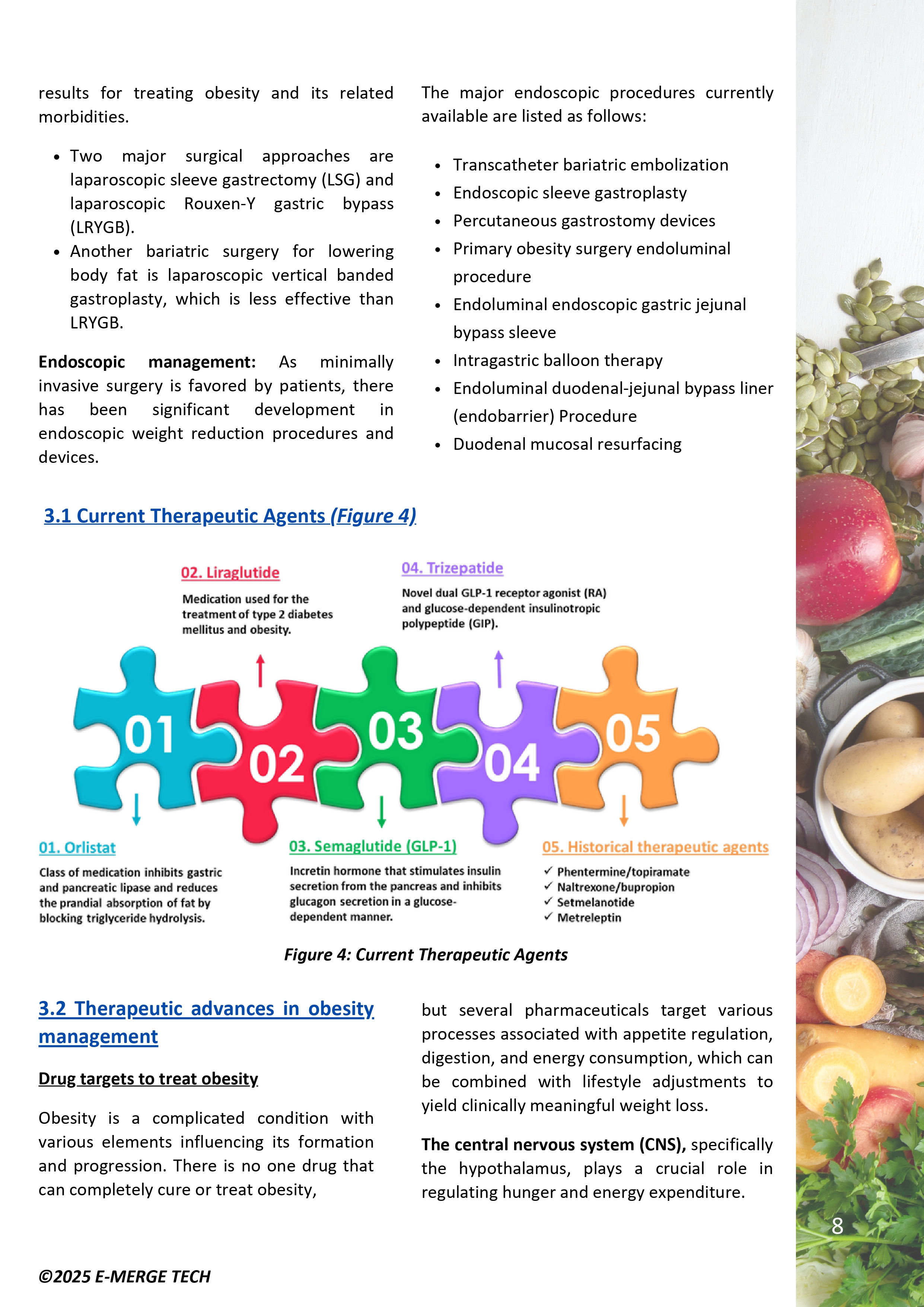 New Paths in Obesity Management - DS_page-0008