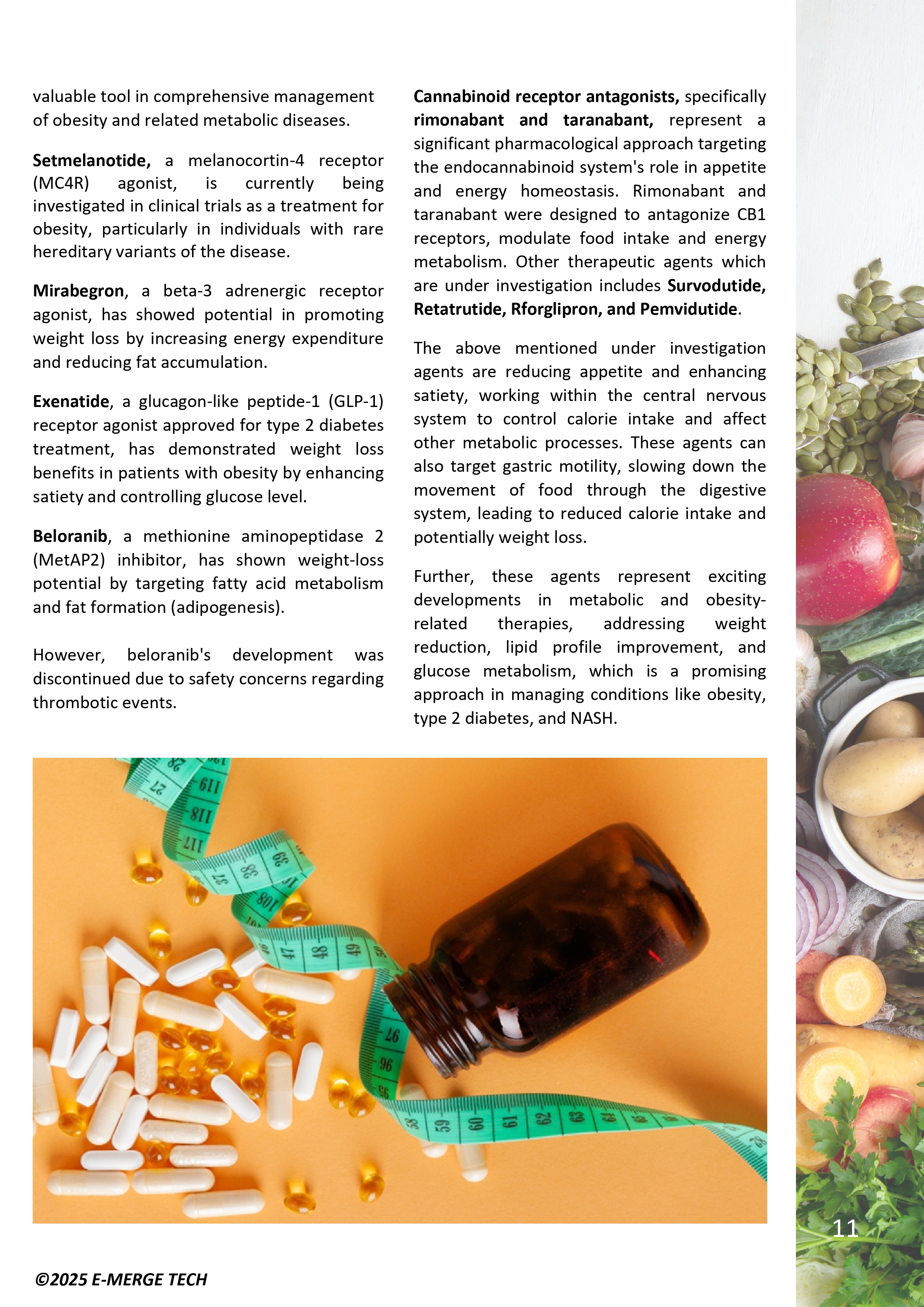 New Paths in Obesity Management - DS_page-0011