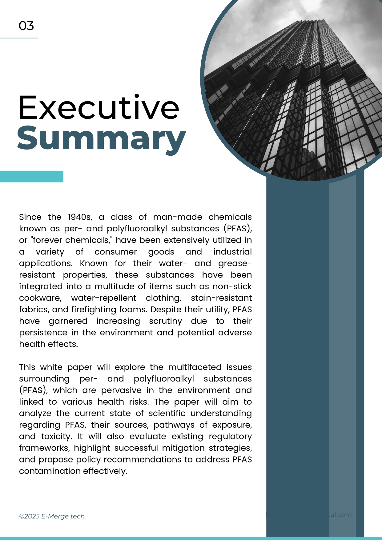 White Paper_PFAS_page-0003