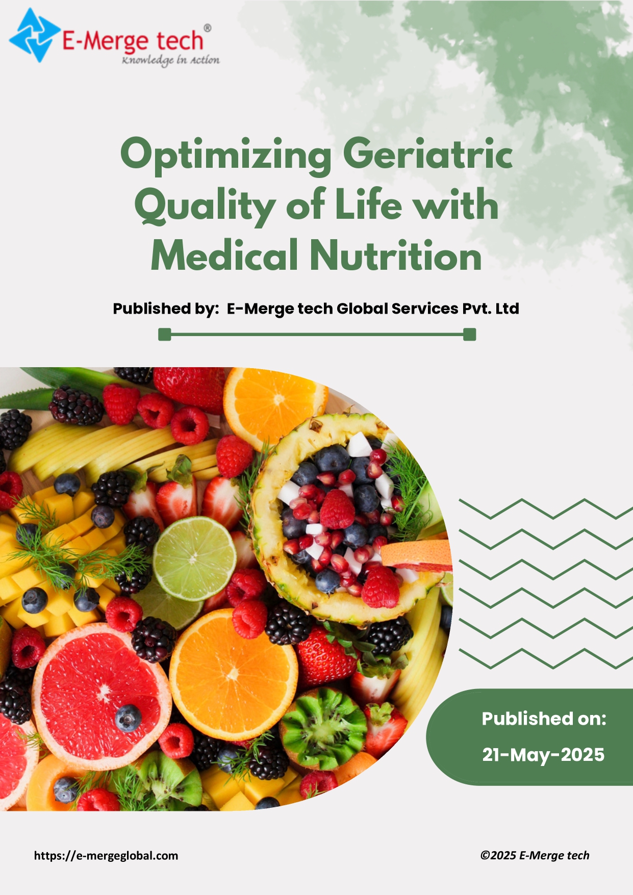 White Paper_Medical Nutrition in Geriatric Care_page-0001