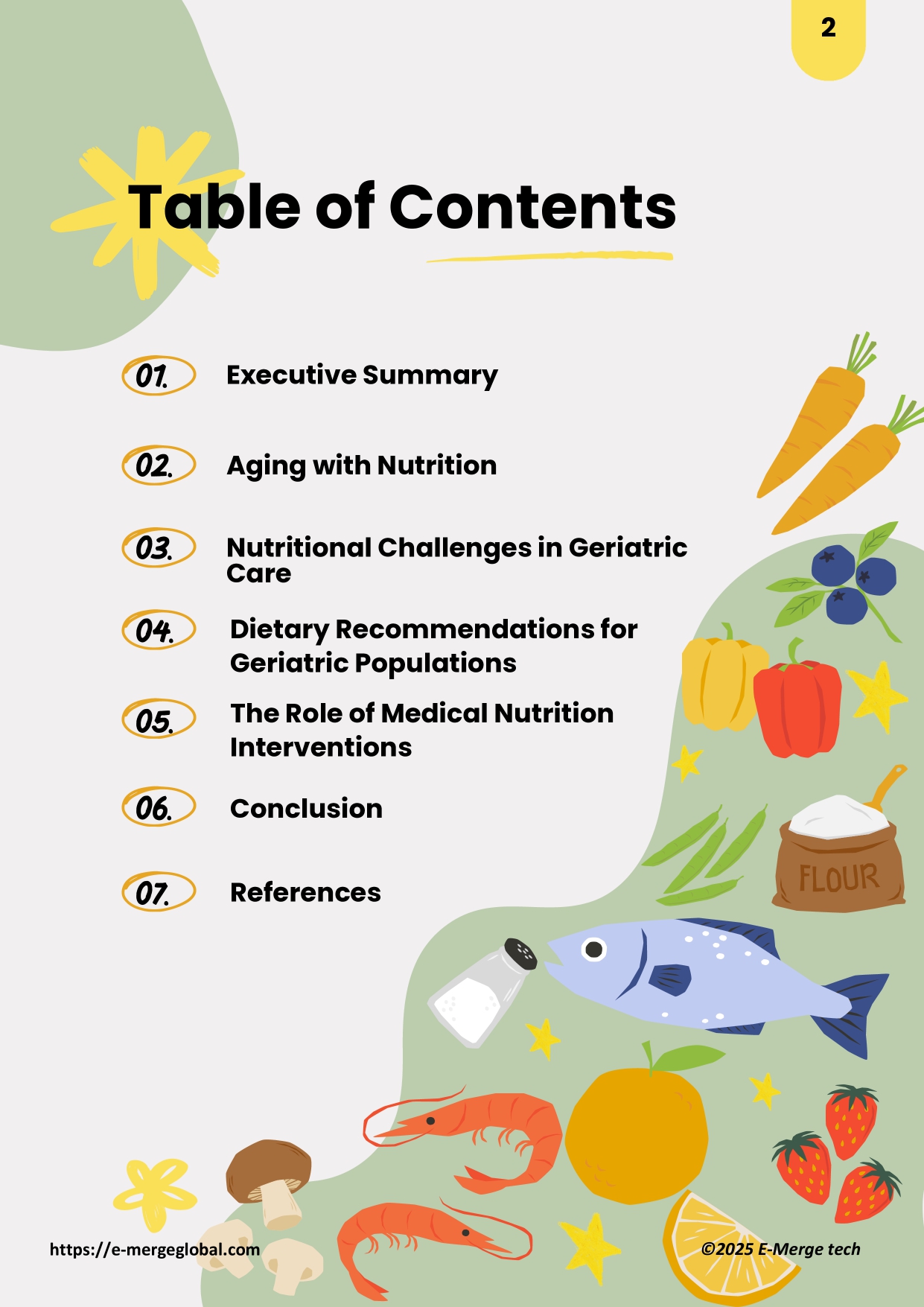 White Paper_Medical Nutrition in Geriatric Care_page-0002