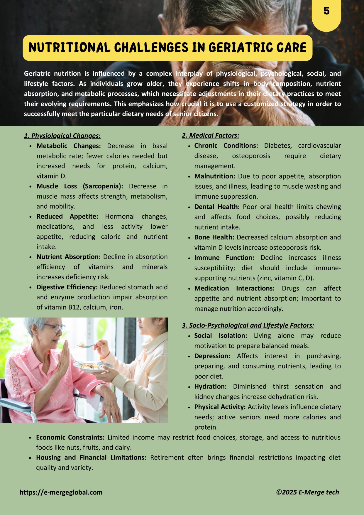 White Paper_Medical Nutrition in Geriatric Care_page-0005