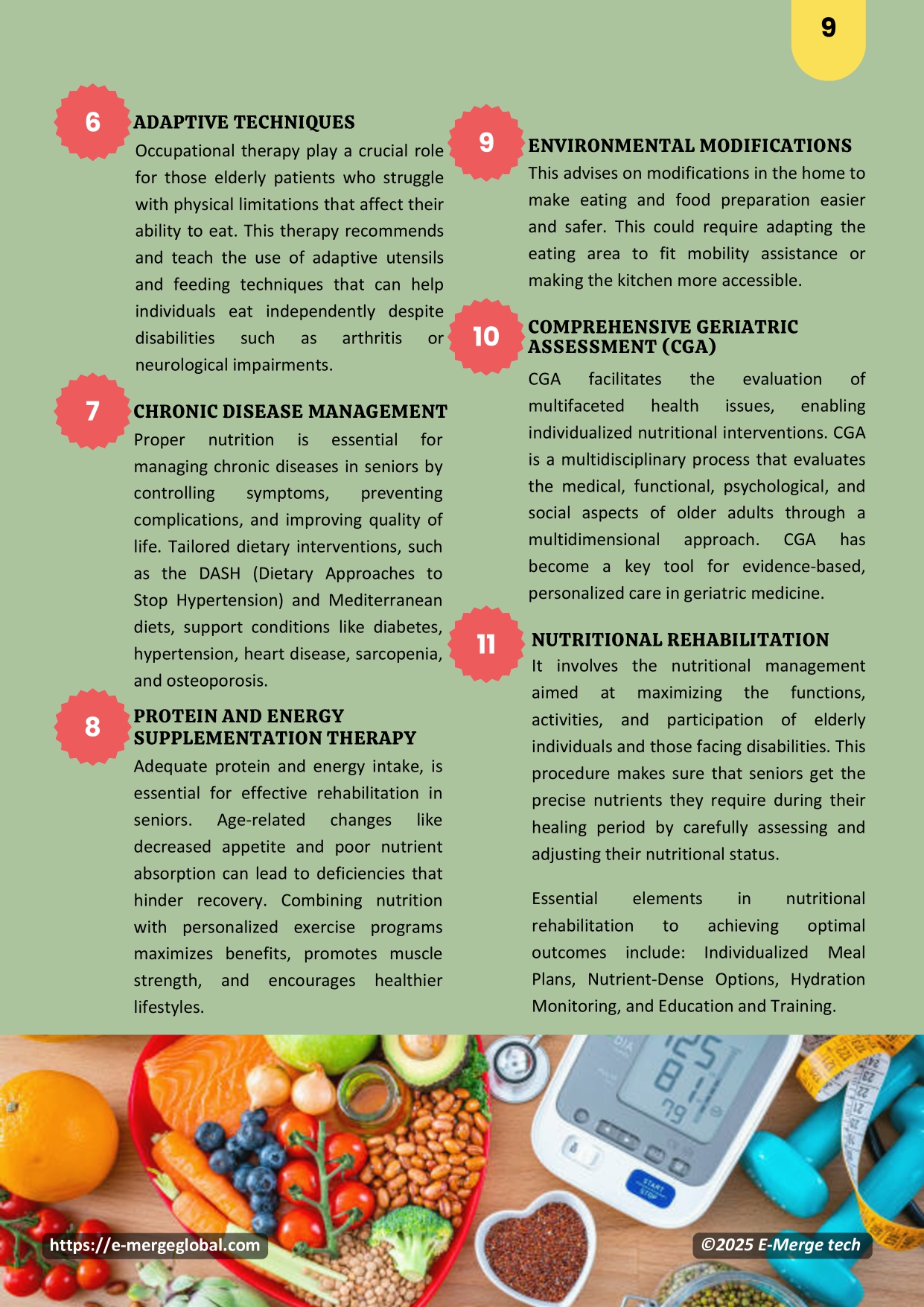 White Paper_Medical Nutrition in Geriatric Care_page-0009