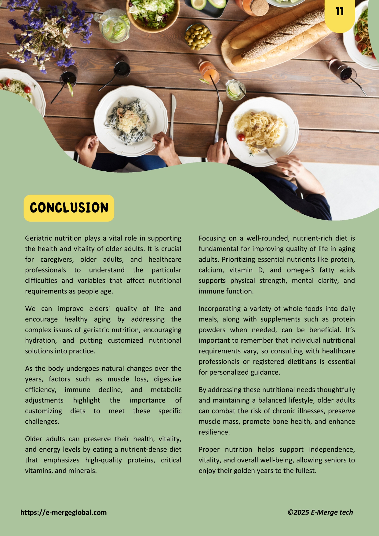 White Paper_Medical Nutrition in Geriatric Care_page-0011
