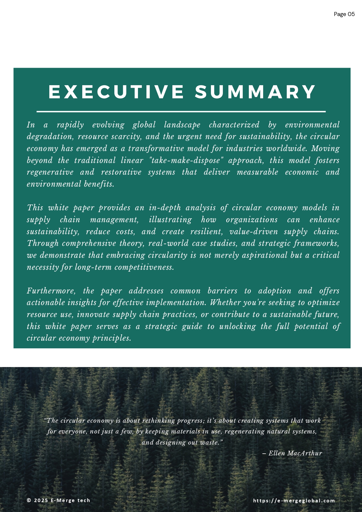 ESG Whitepaper_July 2025_V2_page-0005