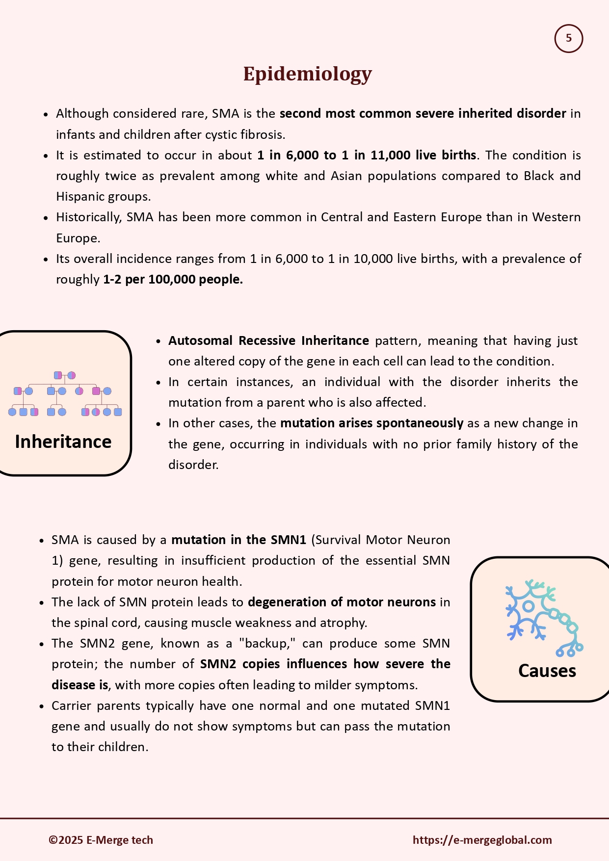 White Paper on Spinal Muscular Atrophy_04-Sep-25_page-0006