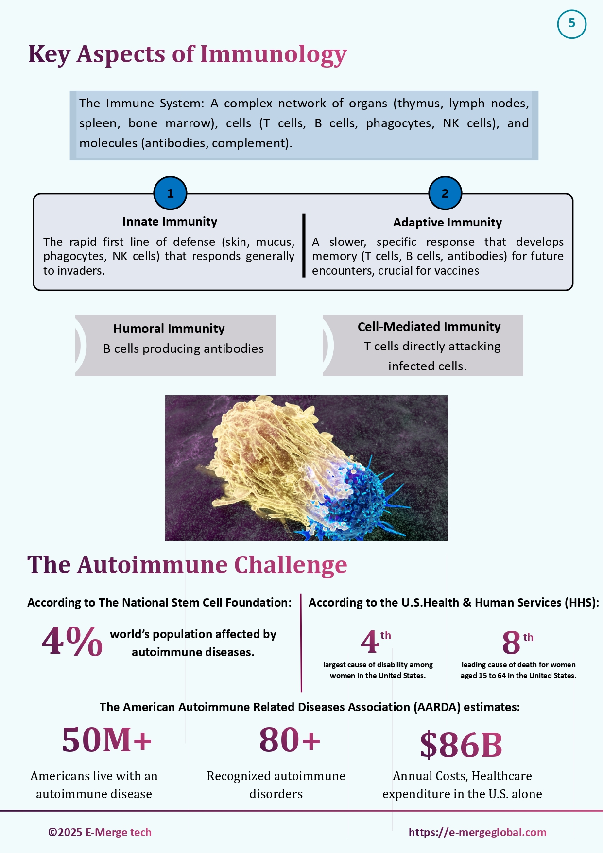 15. White paper on Immunology_30-Dec-25_page-0006