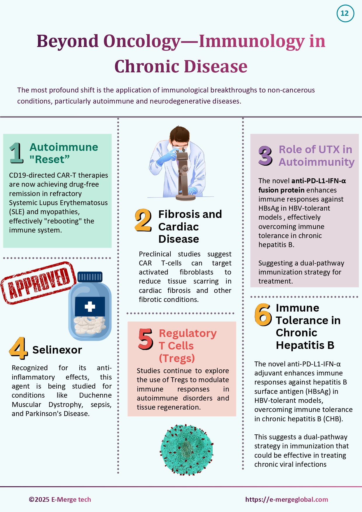15. White paper on Immunology_30-Dec-25_page-0013