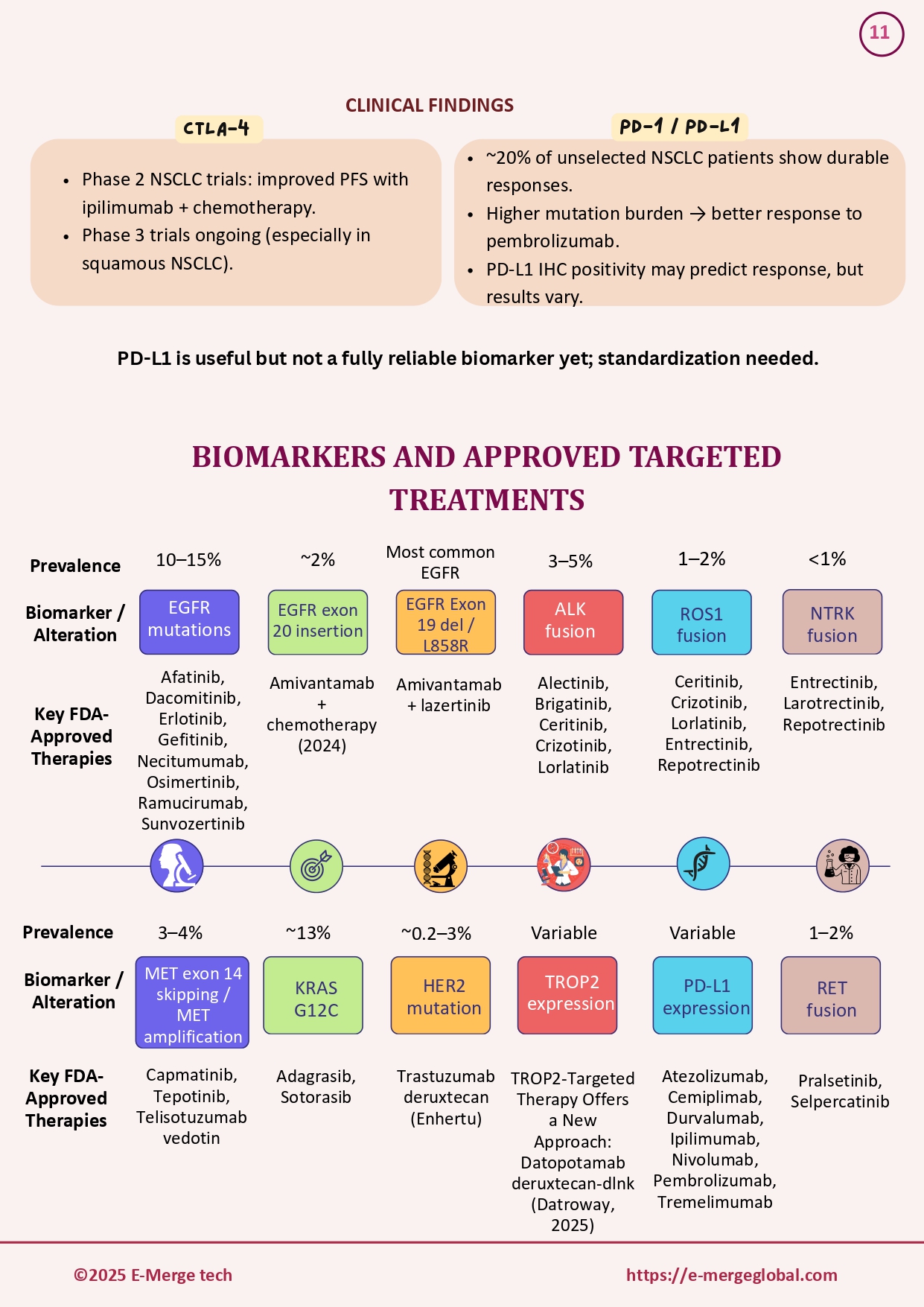 16. White paper on Lung cancer_19-Dec-25_page-0012