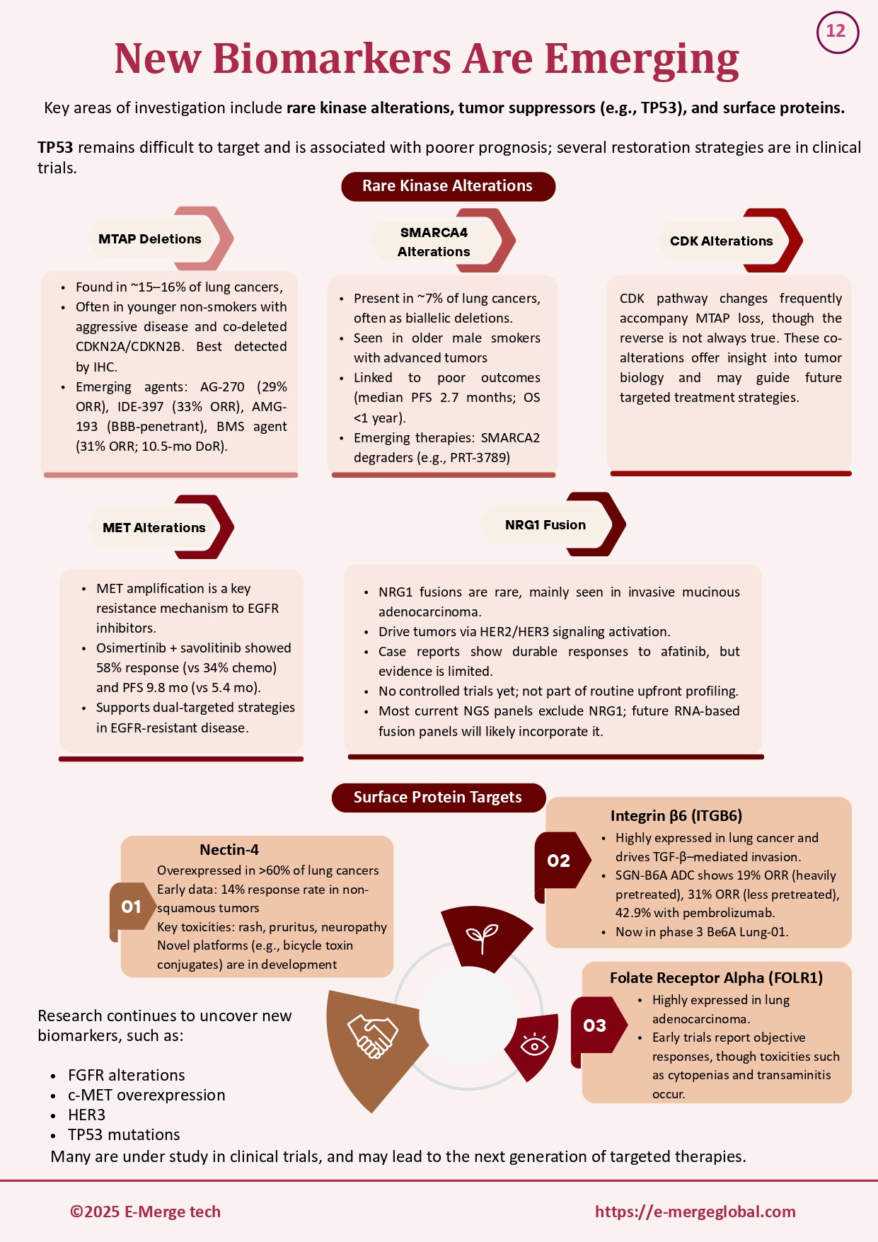 16. White paper on Lung cancer_19-Dec-25_page-0013