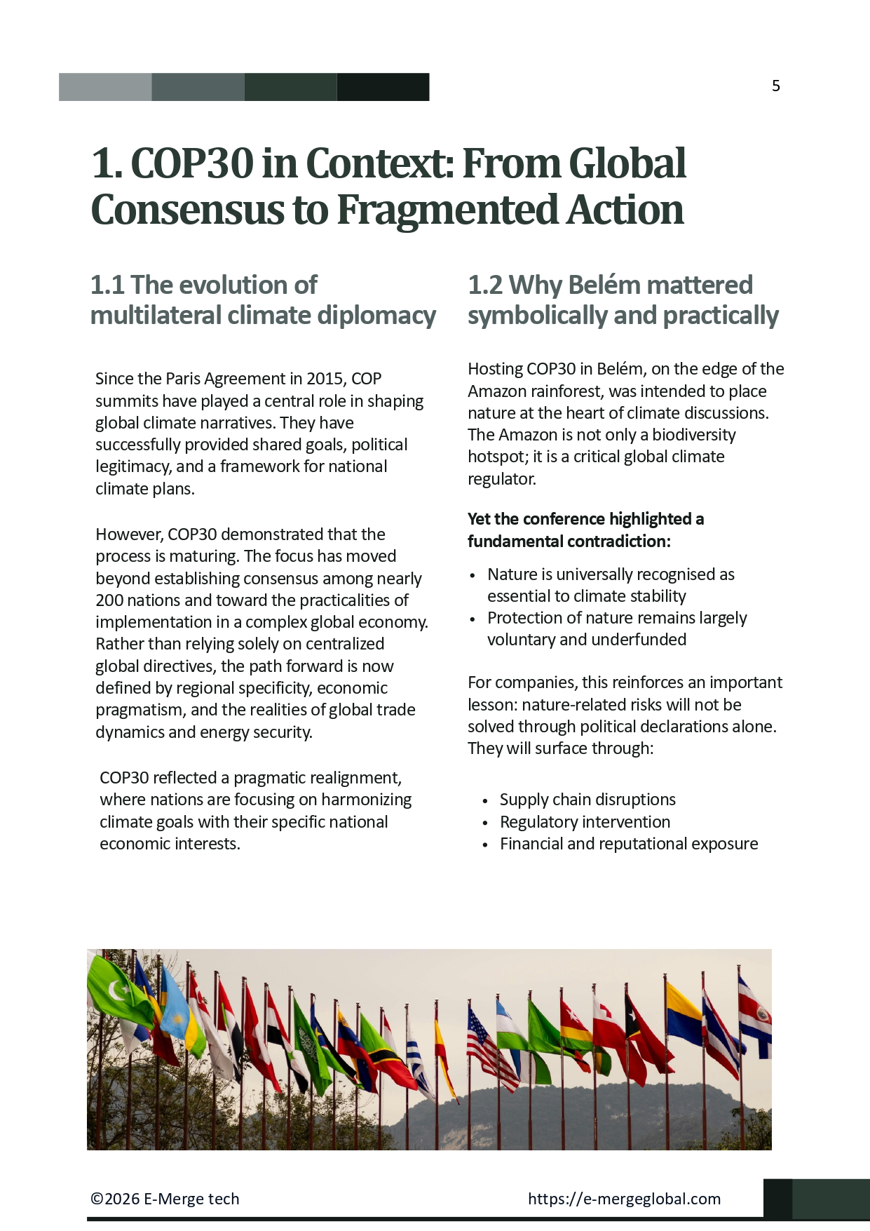 09. ESG Whitepaper_Cop 30 (1)_page-0005