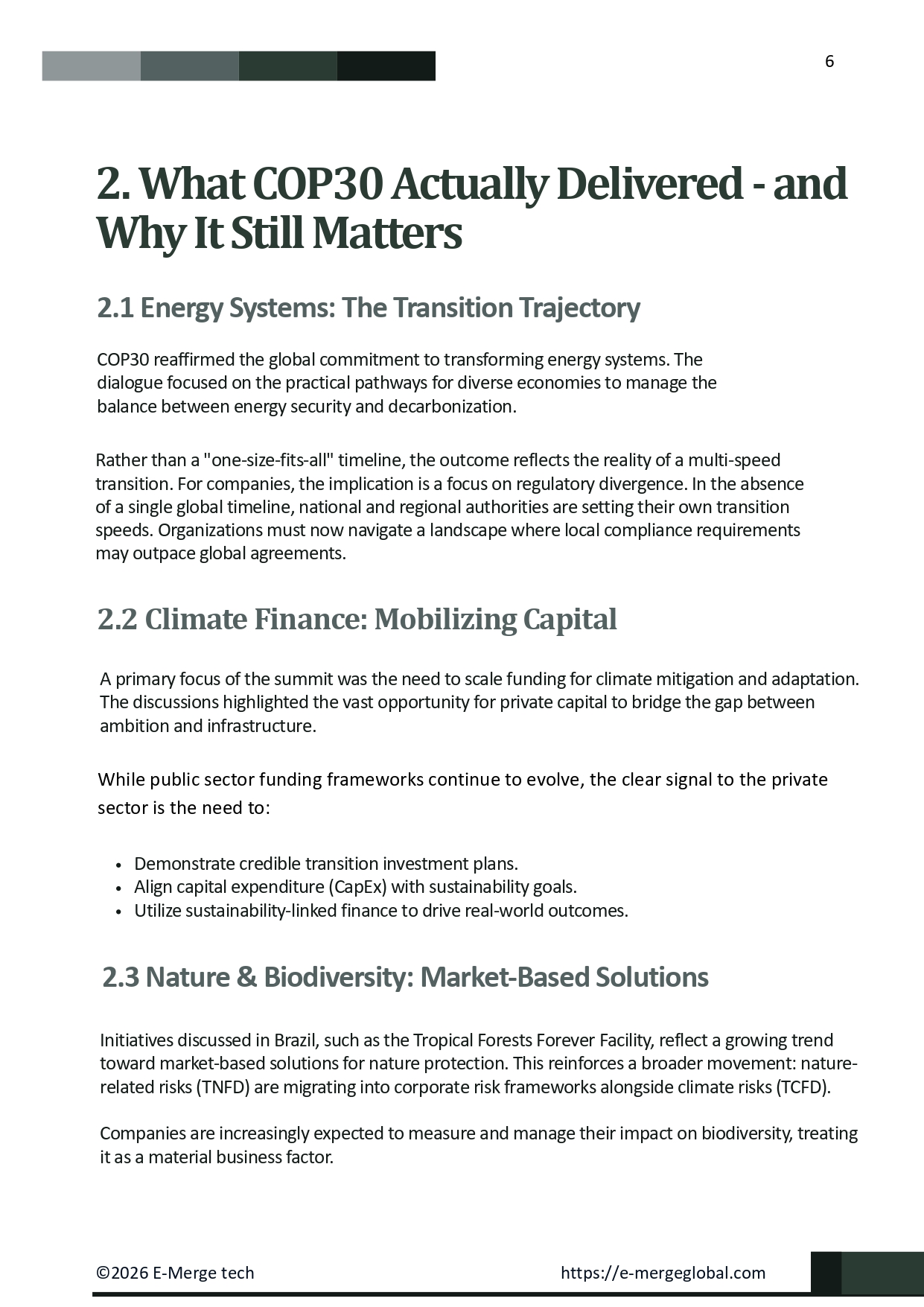 09. ESG Whitepaper_Cop 30 (1)_page-0006