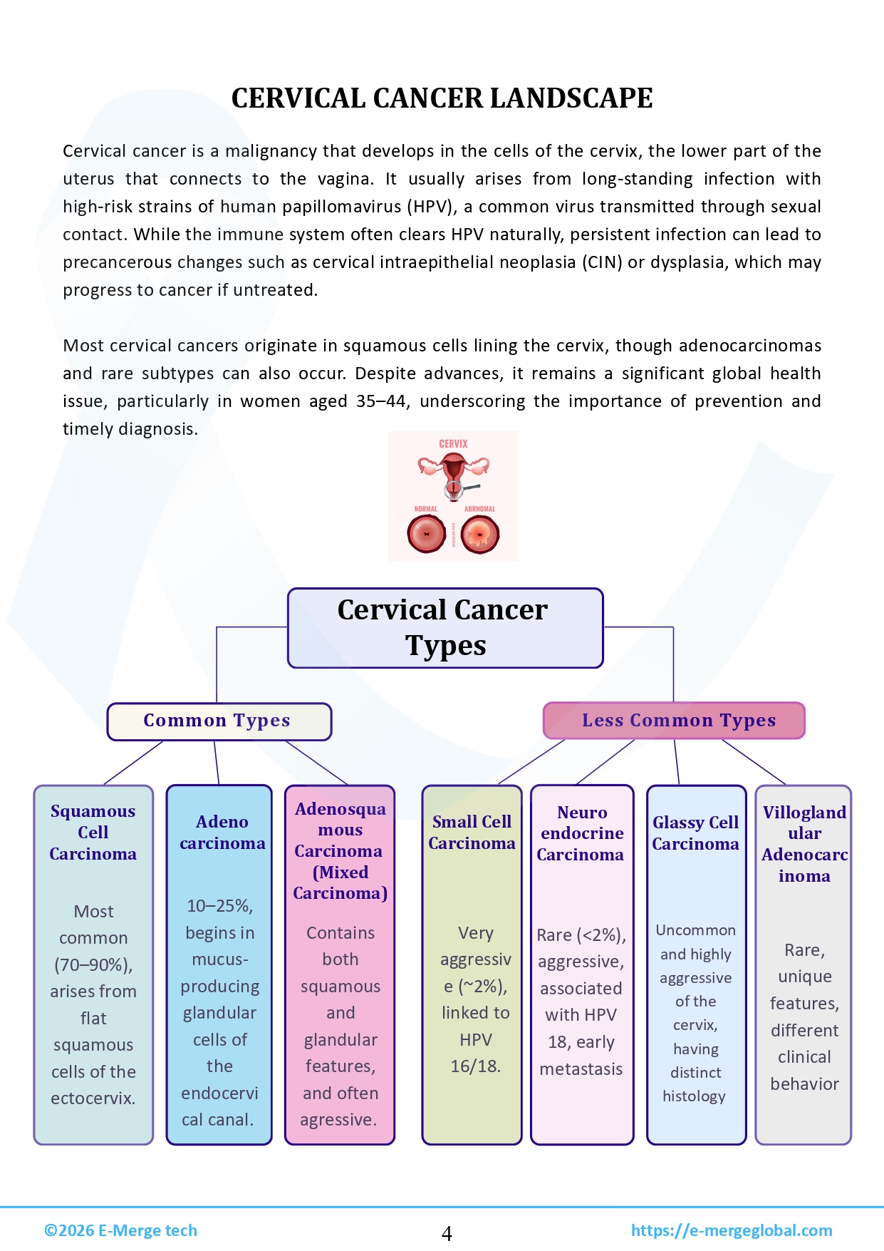 18. Cervical cancer white paper - 30-Mar-26_page-0005
