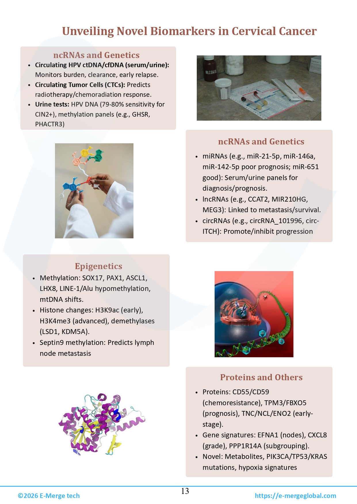 18. Cervical cancer white paper - 30-Mar-26_page-0014