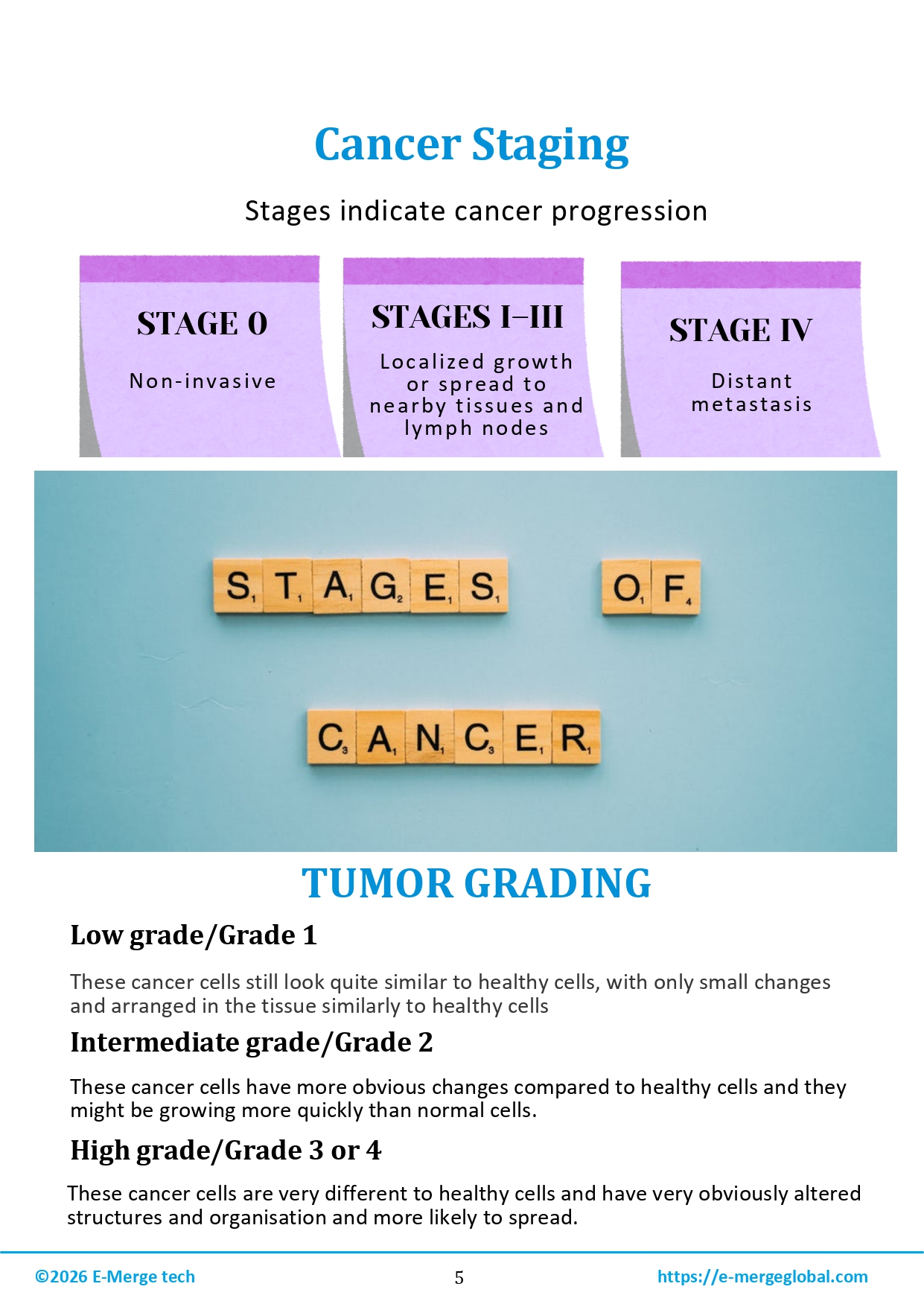 Comprehensive Strategies for Cancer Prevention and Management_page-0006
