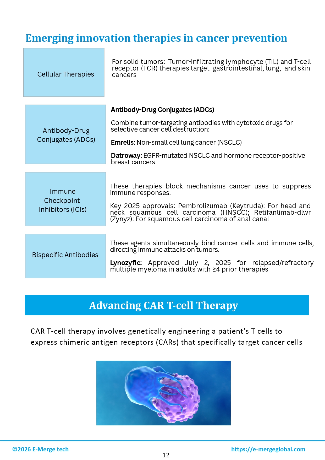 Comprehensive Strategies for Cancer Prevention and Management_page-0013