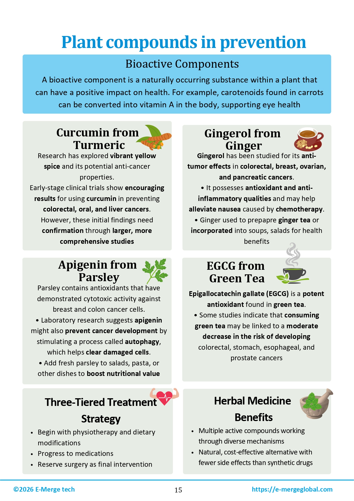 Comprehensive Strategies for Cancer Prevention and Management_page-0016