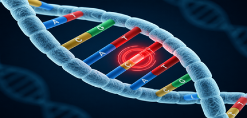 Genetic Variants
